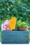 Gardening tools in a wooden tool box