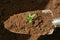 Gardening trowel