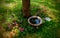 Gardening a water pot in park for birds pink flowers around it