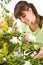 Gardening - woman with Rhododendron flower