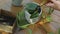 Gardening. Woman waters potted plant using watering can.