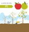 Gardening work, farming infographic. Apple. Graphic template. Fl