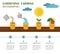 Gardening work, farming infographic. Graphic template. Flat style design