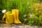 Gardening yellow tools outdoor in garden. Rubber boots, watering can, hose.