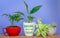 Gardeningâ€¦ Cheaper than therapy text on mug used as a plant pot for houseplant, eco therapy