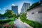 Gardens along a walkway and modern buildings in Rosslyn, Arlington, Virginia.