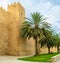 The gardens around Sousse Medina