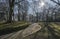 Gardens in Beaumont Park, Huddersfield