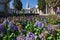 Gardens in bloom, in the `Topkapi` palace