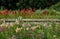 The gardens at Boschendal Wine Estate, Drakenstein Valley / Simonsberg in the Cape Winelands, South Africa.