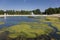 Gardens of Chantilly castle