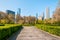 Gardens of Chicago Grant Park with skyscrapers on background, USA