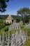 Gardens of the Jardins de Marqueyssac - Dordogne - France