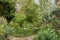 Gardens of the kasbah, Chefchaouen, Morocco