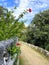 Gardens and pathways at Monserrate Palace near Lisbon, Portural