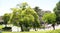 Gardens and Prado Museum building, Madrid