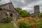 Gardens of red poppies along antique well and cabin