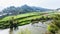 gardens, rice fields, tea plantation in Chengyang