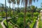 Gardens Royal Alcazar of Sevilla