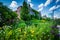 Gardens at Southwest Corridor Park in Back Bay, Boston, Massachusetts.