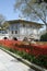 In the gardens of Topkapi Palace in Istanbul