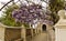 Gardens of Villa d\'Este in Tivoli - Italy