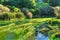 `Gardens` of water plants in Te Waihou Blue Spring, New Zealand