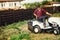 Gardner with lawn mower, professional worker cutting and unloading grass