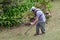 Gardner mowing the grass