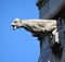 Gargoyle of the Basilica of the Sacred Heart of Paris