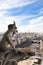 Gargoyle at Cathedrale Notre Dame de Paris noire