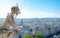 Gargoyle chimera on Notre Dame de Paris close up overlooking blur city at a summer day