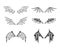 Gargoyle, demon, devil wing set. Vector collection in line art