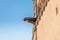 Gargoyle on the exterior of Cathedral in the historic site of Europe