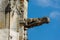 Gargoyle on the facade of the Saint-Pierre church, Dreux, France