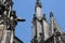 Gargoyle with fish head at gothic minster in Ulm