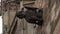 Gargoyle on Gothic cathedral in Barcelona. Spain.