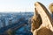 Gargoyle looking at Paris aerial view