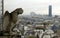 Gargoyle and Montparnasse tour