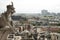 Gargoyle at Notre-Dame Cathedral, Paris