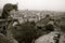 Gargoyle of Notre Dame de Paris