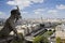 Gargoyle at Notre Dame in Paris