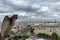 Gargoyle overlooking blurred Paris on Notre Dame