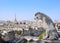 Gargoyle overlooking Paris up on Notre Dame de Paris, France