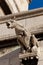 Gargoyle in the Sacre Coeur, Montmarte, Paris