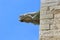 The gargoyle of Santa Maria church in Montblanc town, Catalonia