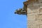 The gargoyle of Santa Maria church in Montblanc town, Spain