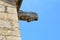 The gargoyle of Santa Maria church in Montblanc town, Spain