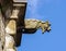 Gargoyle sculture on medieval cathedral. Mirepoix.