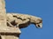 Gargoyle sculture on medieval cathedral. Mirepoix.